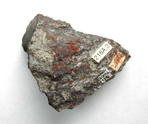 Lixna